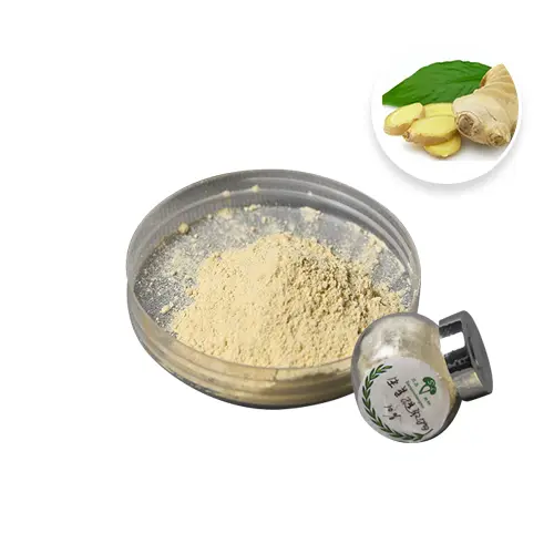 Ginger Extract Gingerol